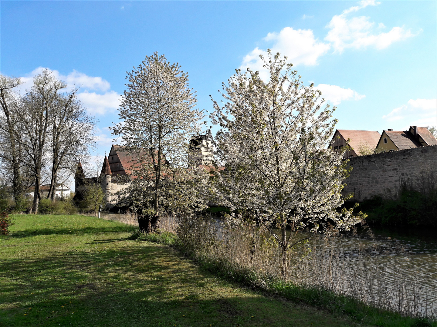 Dinkelsbühl :Idylle vor der Stadtmauer