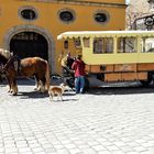 Dinkelsbühl Stadtmitte : Bitte einsteigen