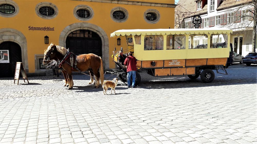 Dinkelsbühl Stadtmitte : Bitte einsteigen