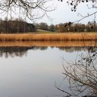 Dinkelsbühl : Walkweiher mit Schilffläche