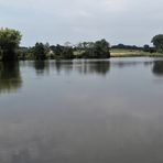 Dinkelsbühl :Walkweiher  Wasserfläche zum Spiegeltag