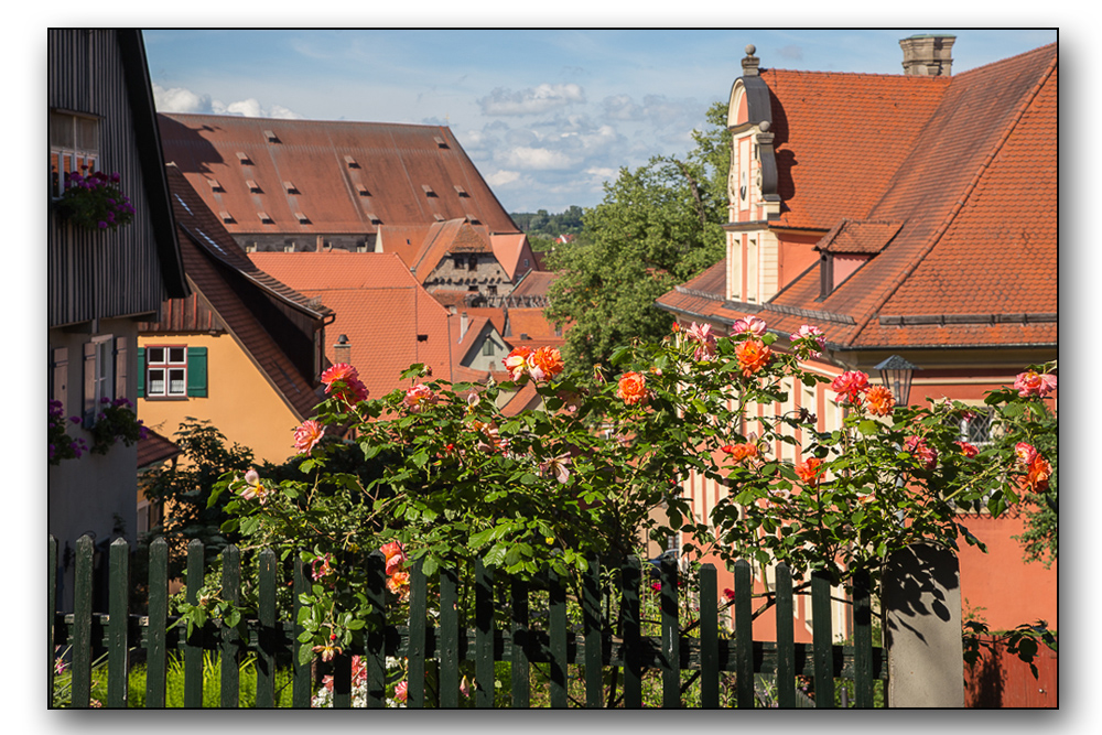 Dinkelsbühler Ansichten