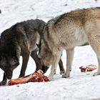 Dinner for Two