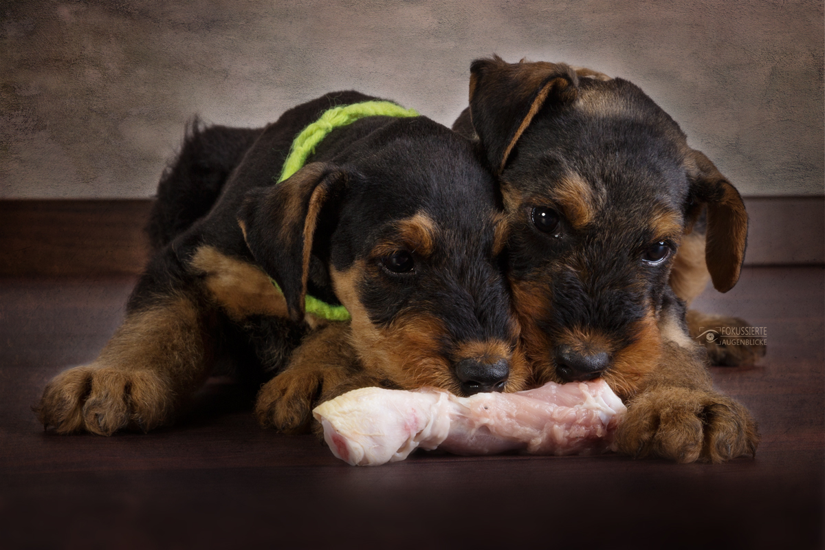 Dinner for two