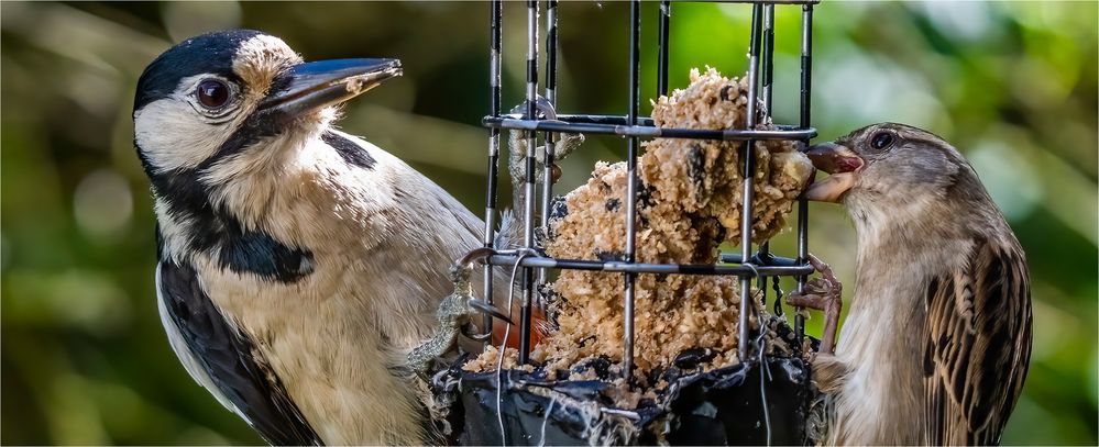 ... Dinner for two ...