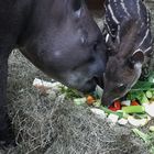 Dinner for Two