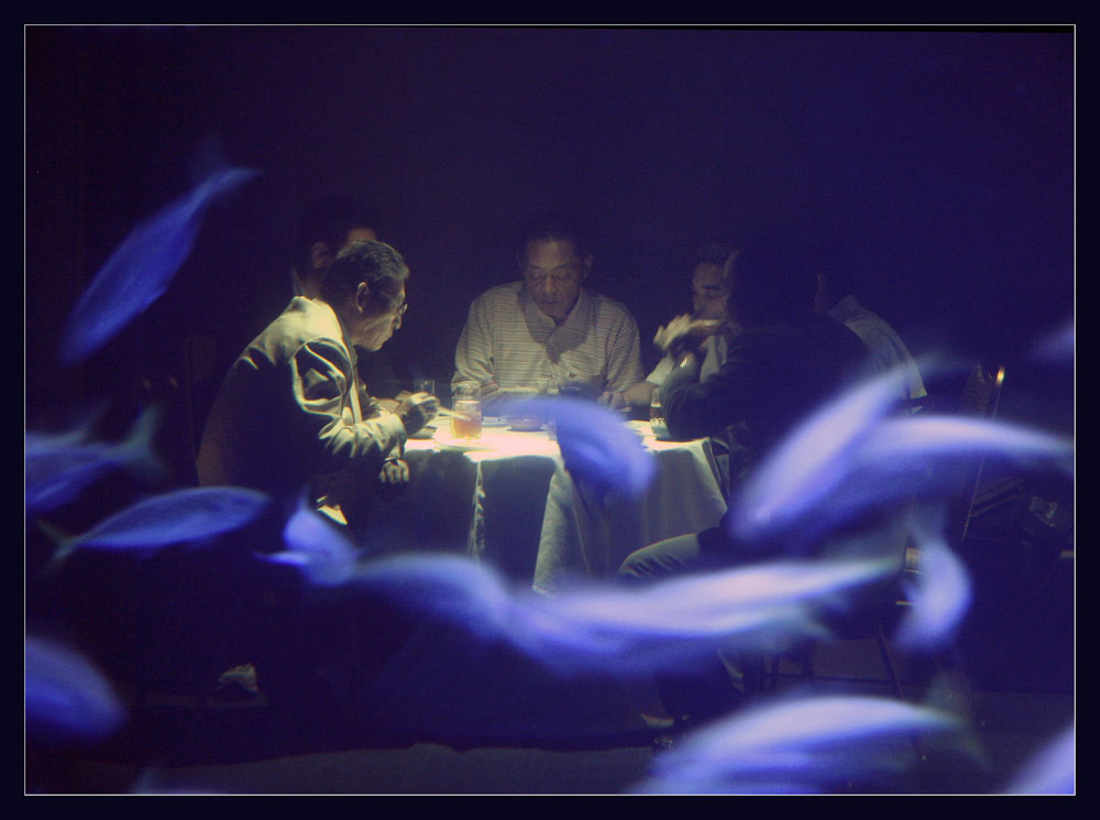 Dinner in Aquarium, Osaka