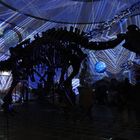 Dino frisst Scheinwerfer bei Luminale 2012