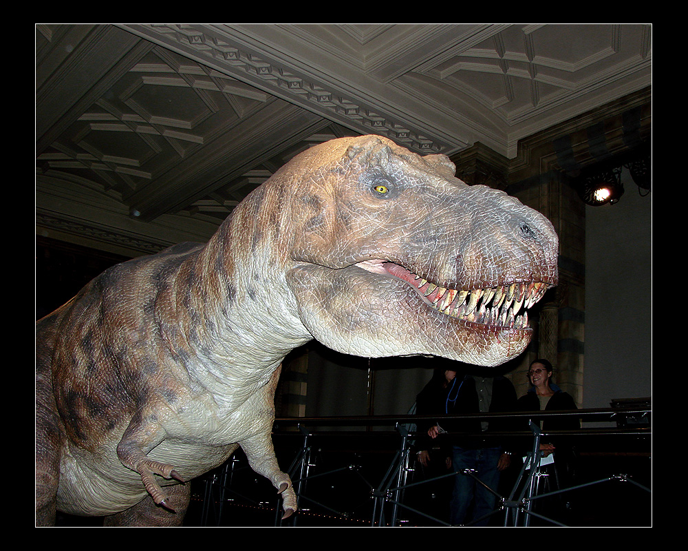 Dino im Natural History Museum