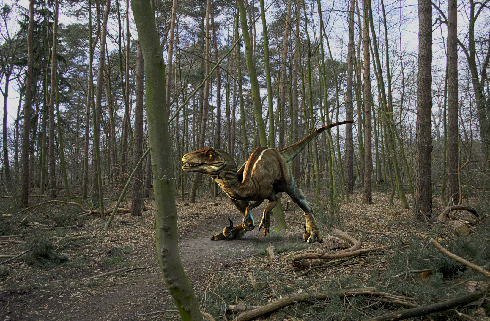 Dino im wald