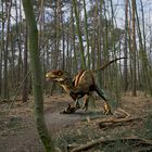 Dino im wald