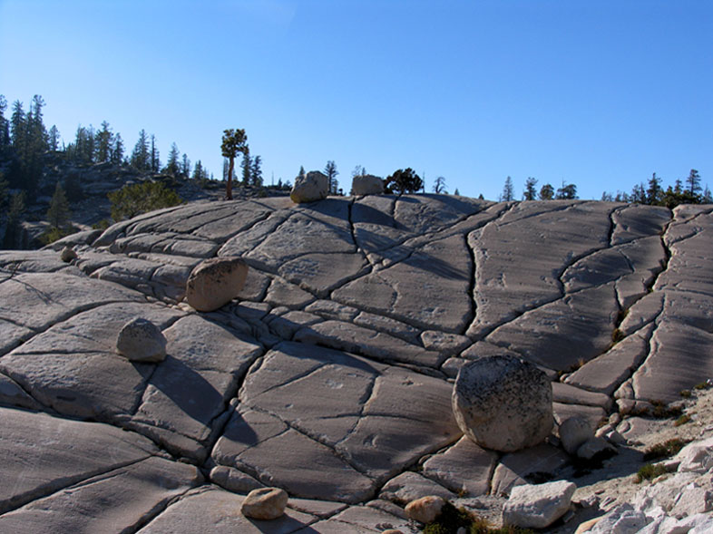 Dinoeier ...... Yosemite