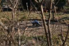 Dinoland im Kleingarten