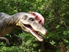 Dinopark in Funtana