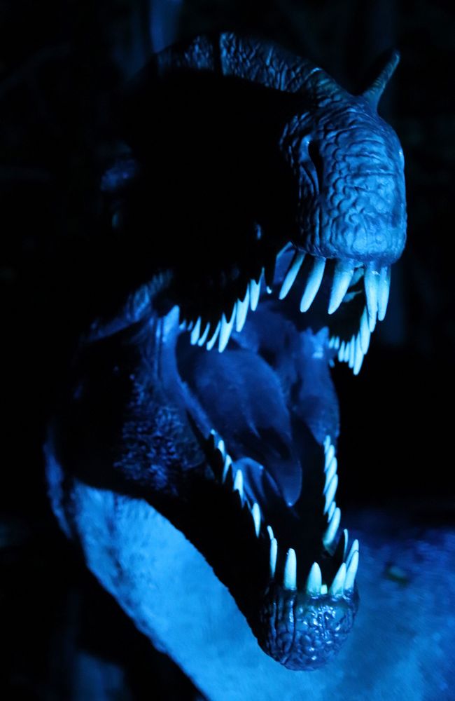 Dinopark Teufelsschlucht - Illumination N°1