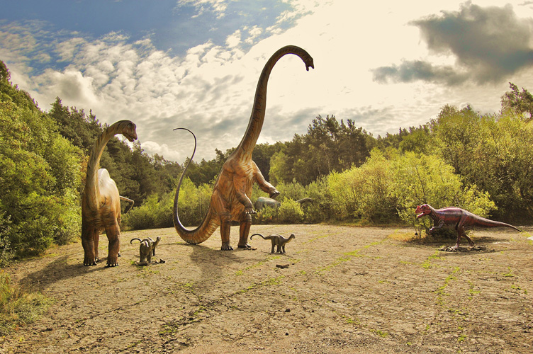 Dinos Foto Bild Colorkey Bearbeitungs Techniken Digiart Bilder Auf Fotocommunity