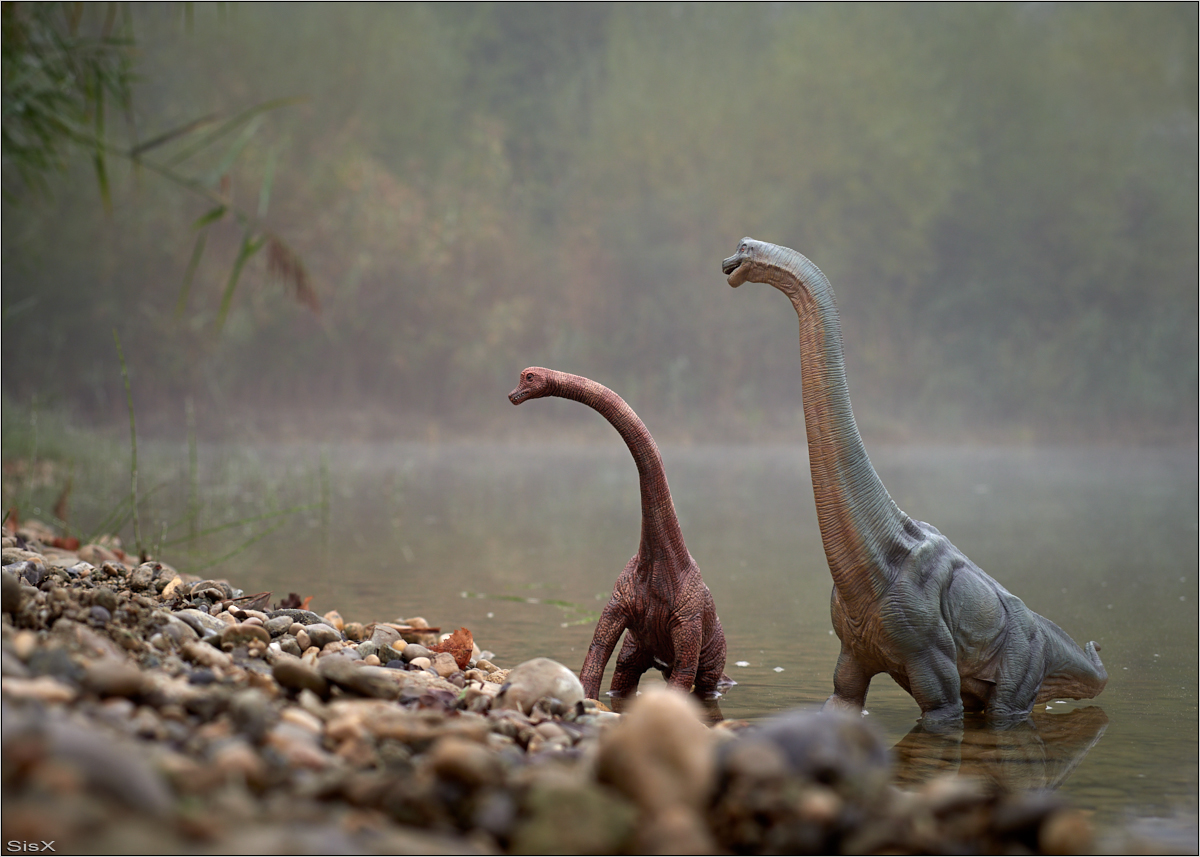 Dinos im Nebel