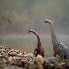 Dinos im Nebel