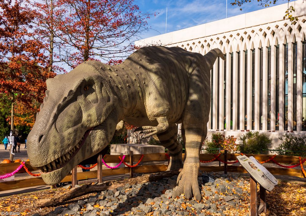 Dinos im Zoo Leipzig (1)