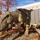 Dinos im Zoo Leipzig (1)