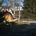 Dinos in my backyard ...