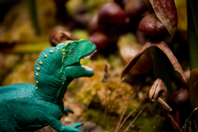 Dinosaur Almost Bites