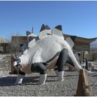 Dinosaur National Monument