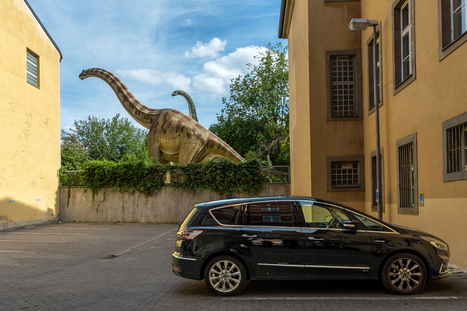 Dinosaur Parking 