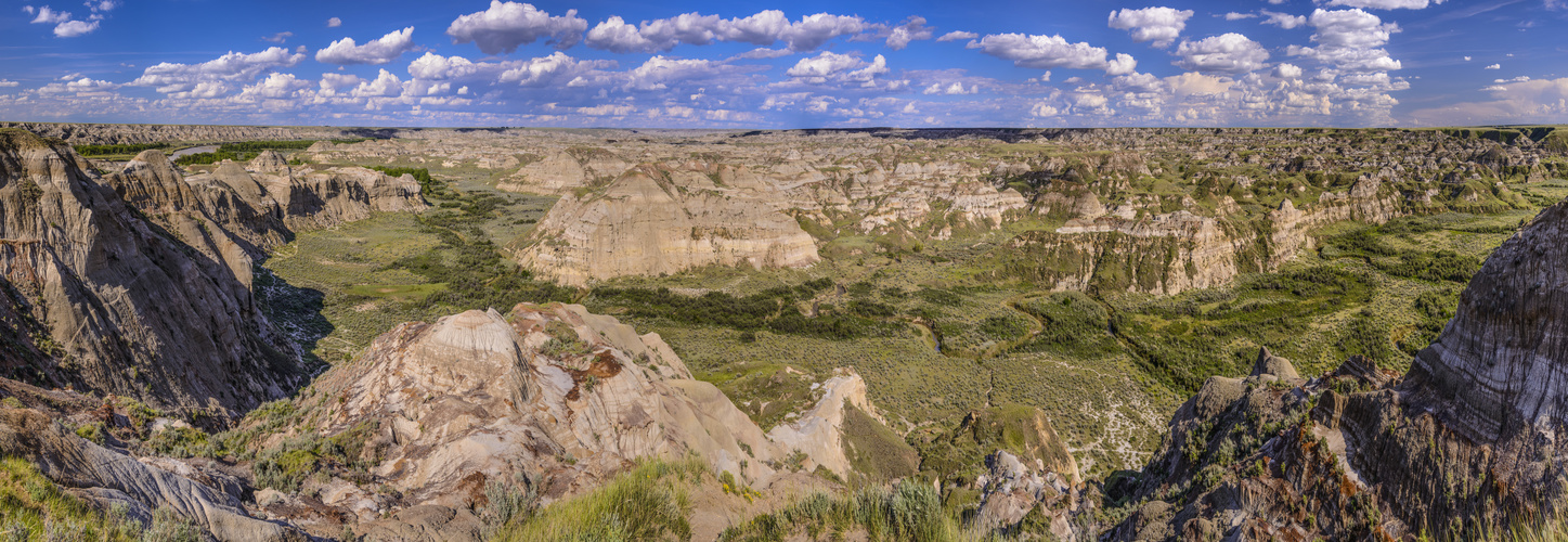 Dinosaur Provincial Park 1, Alberta, Kanada