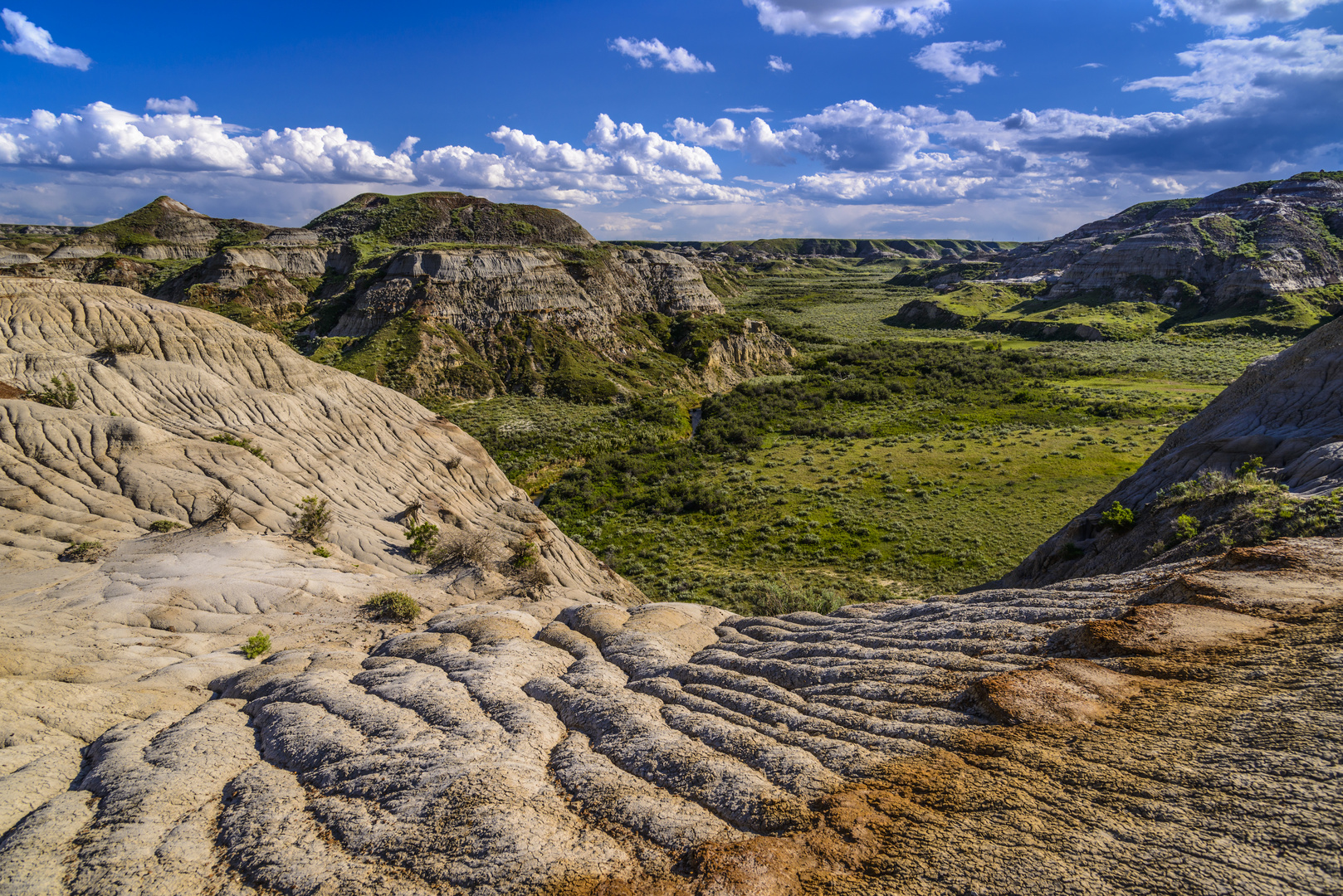 Dinosaur Provincial Park 4, Alberta, Kanada