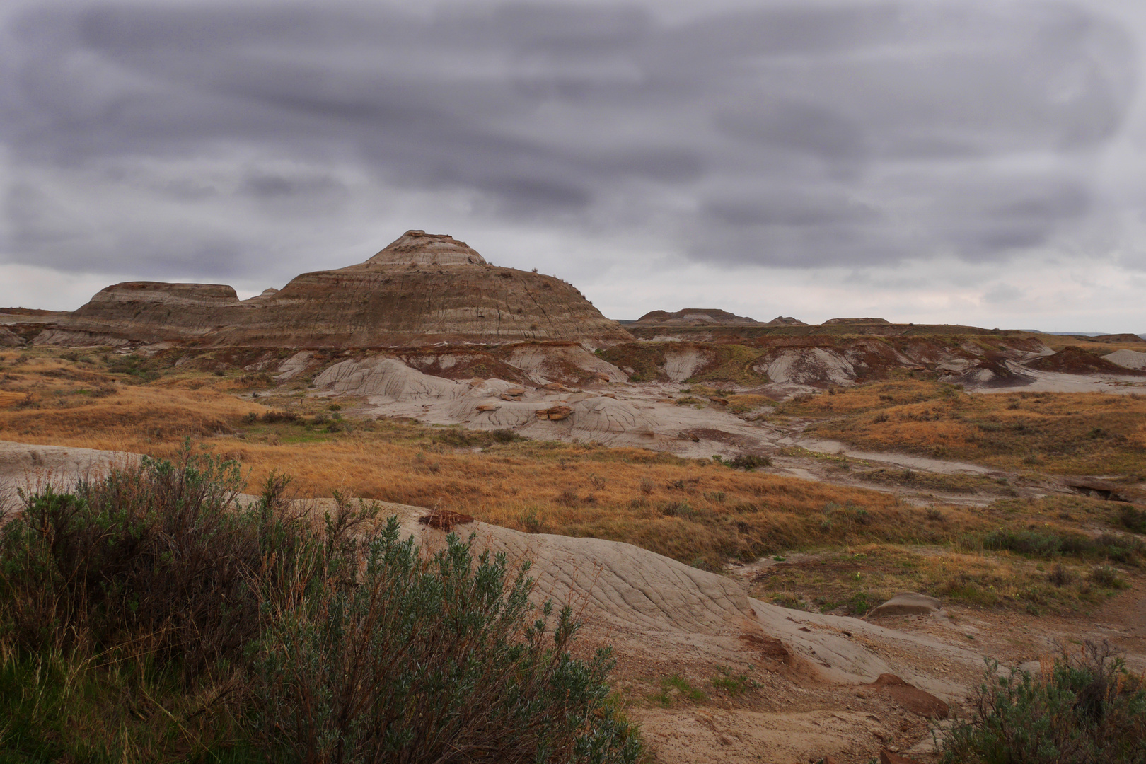 Dinosaur Provincial Park...