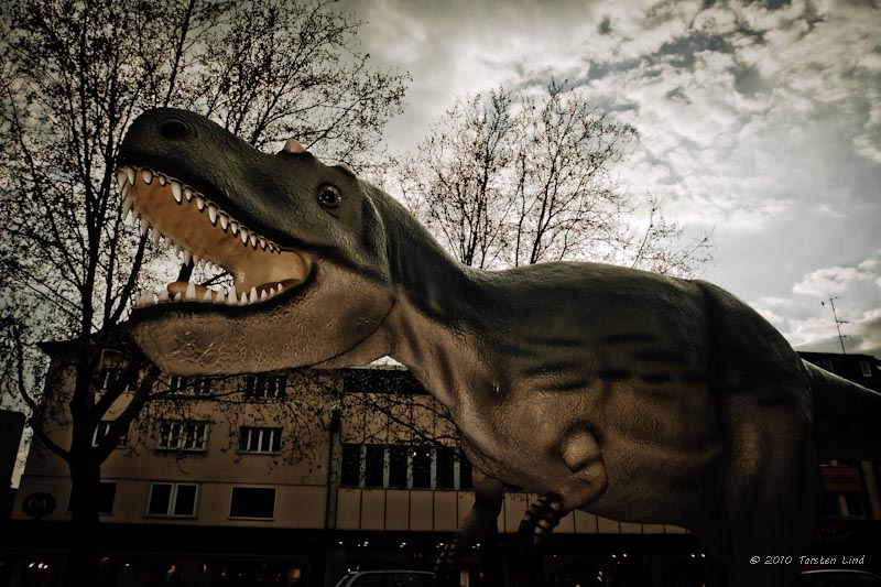 Dinosaurier Albertosaurus2 in Gießen