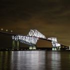 Dinosaurier Brücke in Tokyo