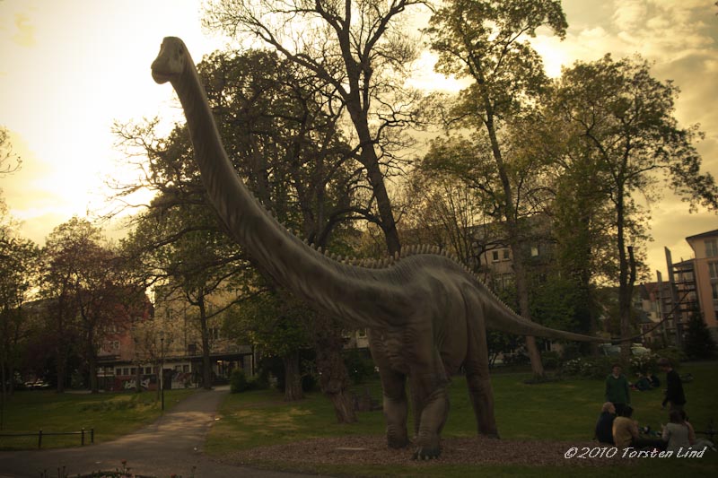 Dinosaurier Diplodocus in Gießen