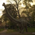 Dinosaurier Diplodocus in Gießen