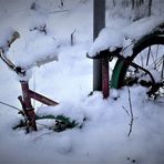 Dinosaurier durch Eiszeit gestorben