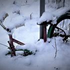 Dinosaurier durch Eiszeit gestorben