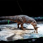 Dinosaurier Im Reich der Giganten