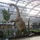 Dinosaurierer-Ausstellung