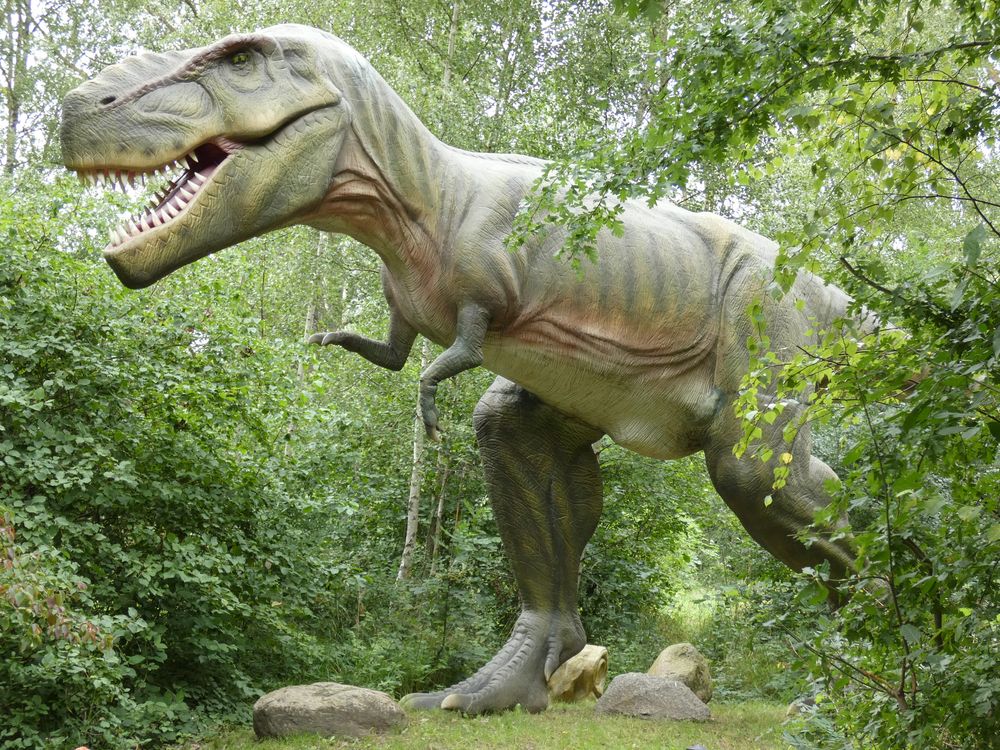 Dinosaurierland Rügen