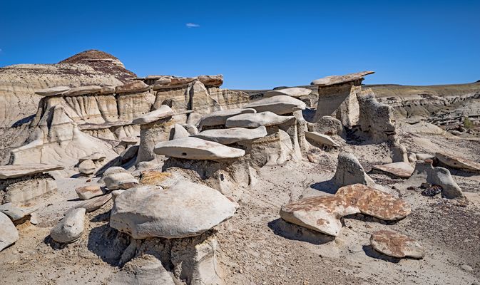 Dinosaurier's Siegertreppe
