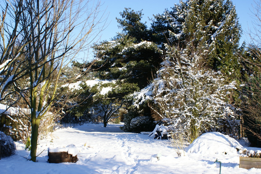 Dinslaken ein Wintermärchen