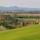 Dintorni Castelnuovo Berardenga