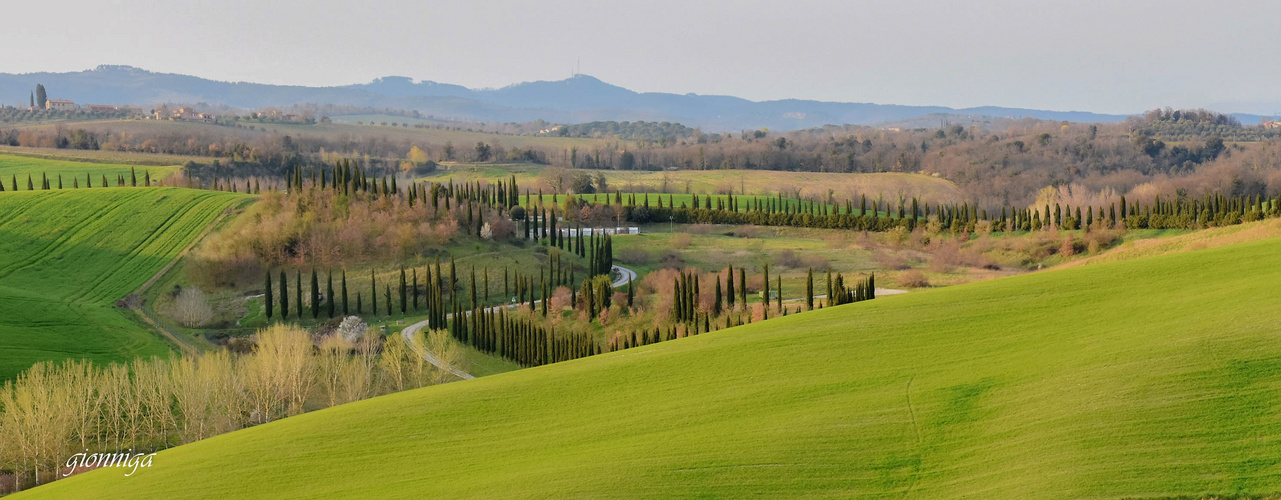 Dintorni Castelnuovo Berardenga