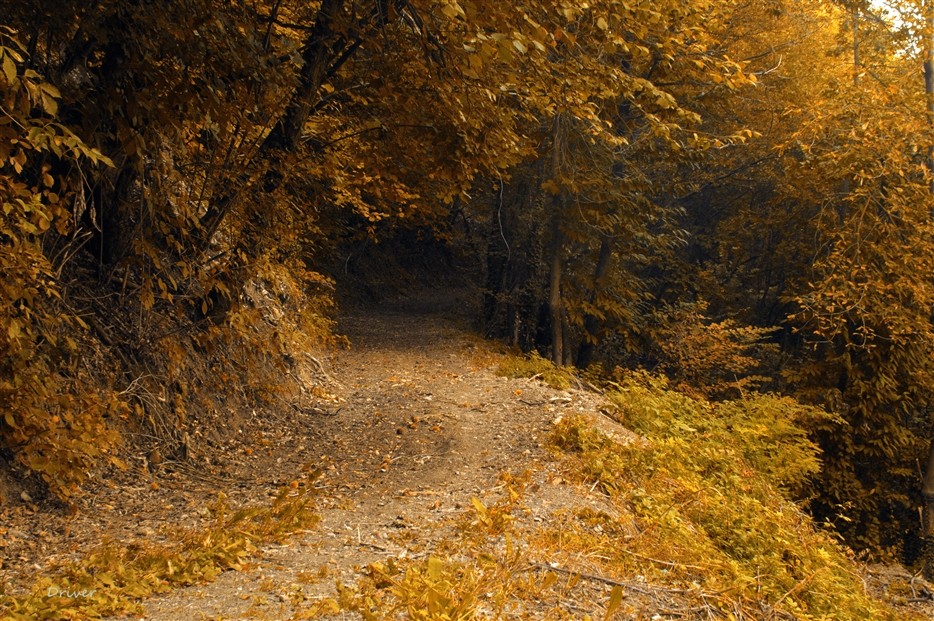 Dintorni del mio Monferrato..