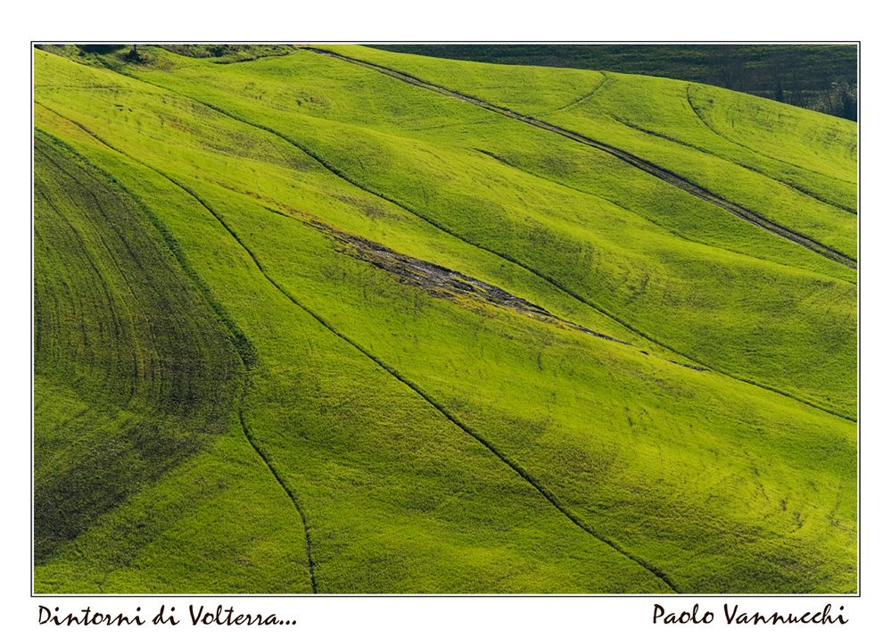 Dintorni di Volterra....