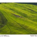 Dintorni di Volterra....