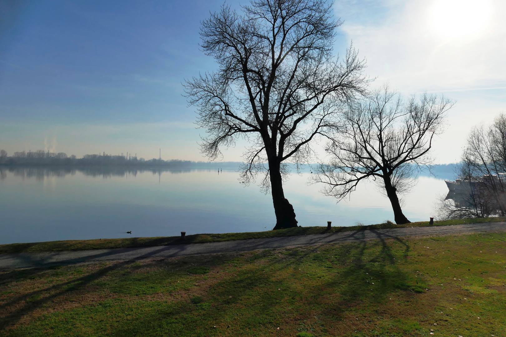 D'inverno, sui laghi di Mantova