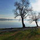D'inverno, sui laghi di Mantova