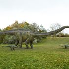 DIPLODOCUS